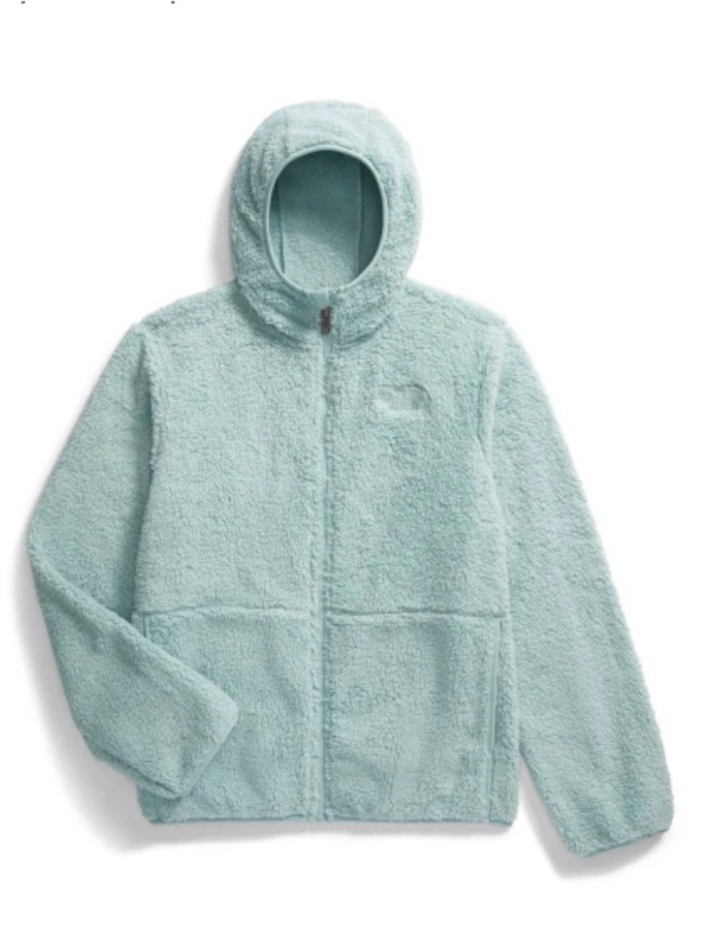 The North Face KIDS Teddy Fleece Jacket in Light Mint